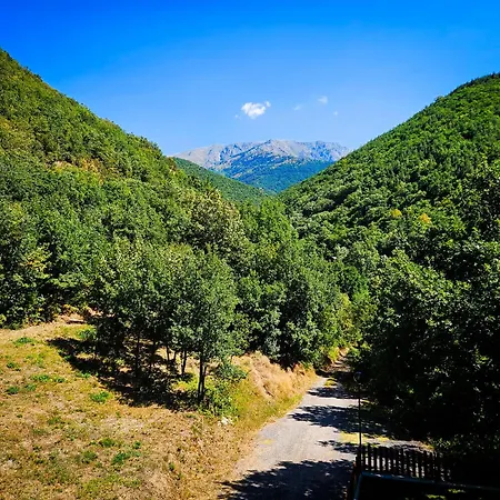 за гости ингилизовата къща Padala